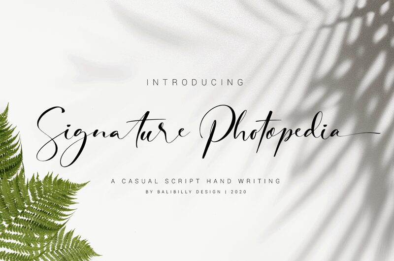 signature Photopedia Druh písma