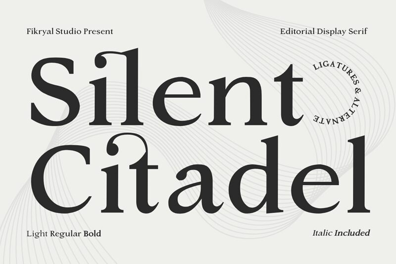 Silent Citadel Carattere