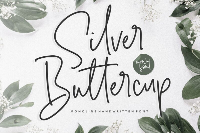 Silver Buttercup Fonte