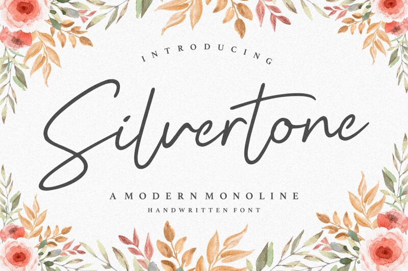 Silvertone Fuente