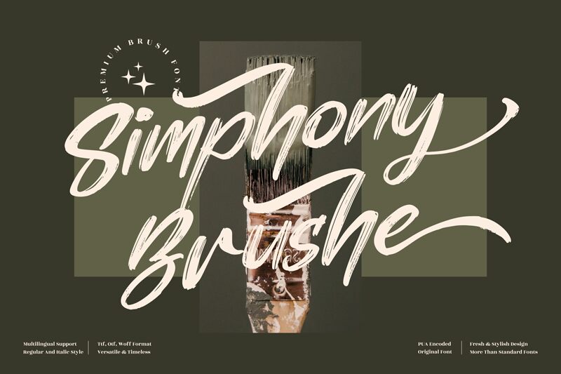 Simphony Brushe font | Fonts2u.com