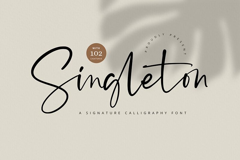 Singleton 字体