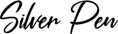 Silver Pen