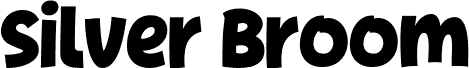 SilverBroomDemo