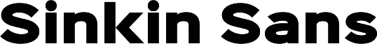 Sinkin Sans 900 X Black