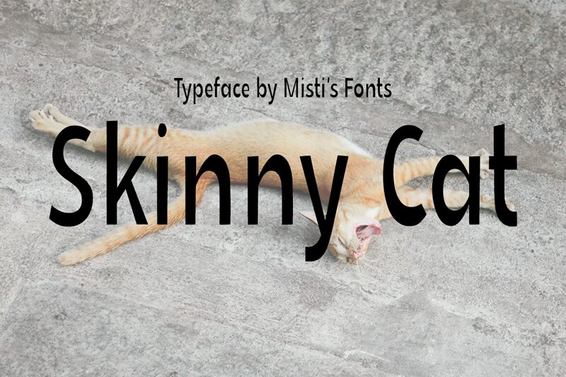 Skinny Cat Schriftart