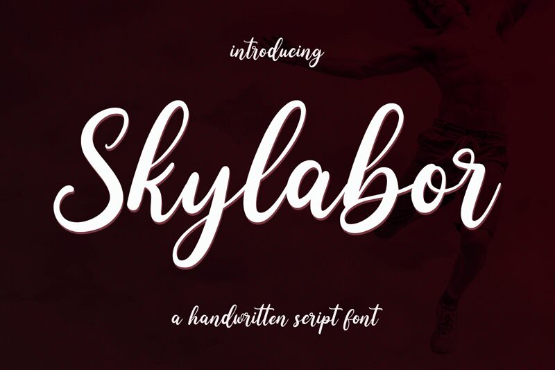 Skylabor Carattere