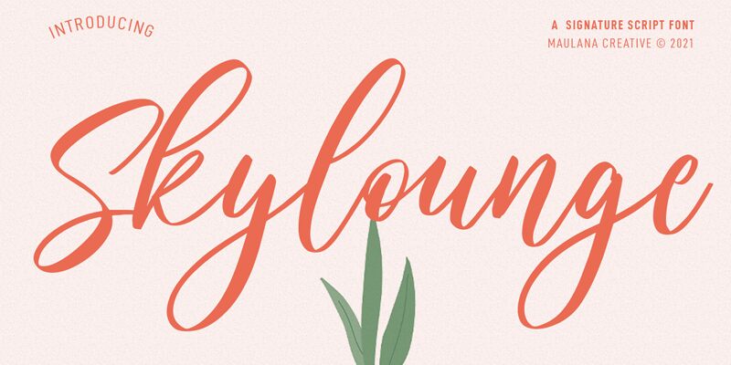 Skylounge Druh písma
