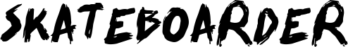 SKATEBOARDER