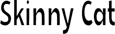 Skinny Cat font