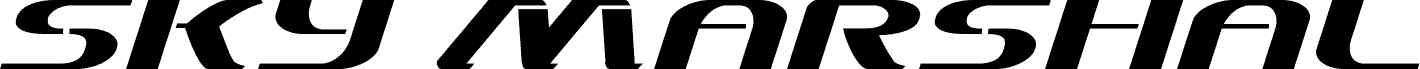 Sky Marshal Expanded Italic