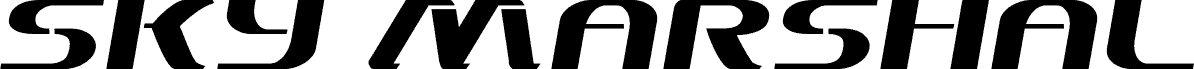 Sky Marshal Semi-Italic