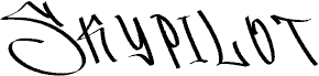 Skypilot