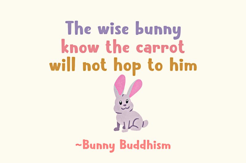 Sleepy Rabbit Schriftart