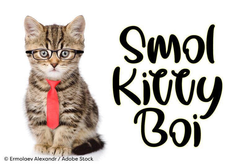 Smol Kitty Boi Schriftart