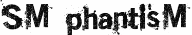 SM_phantisM