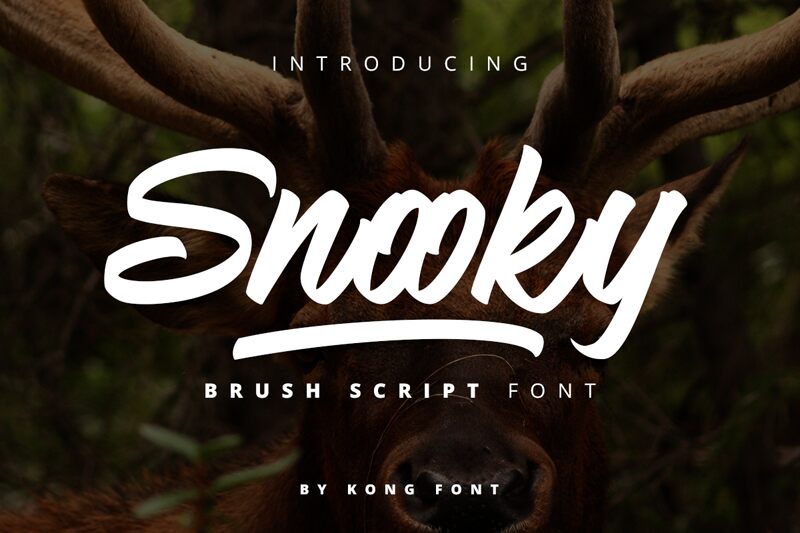 Snooky Schriftart
