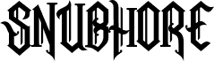 SnubhoreDemo
