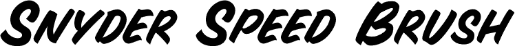 Snyder Speed Brush