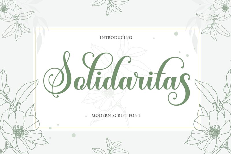 Solidaritas Script Schriftart