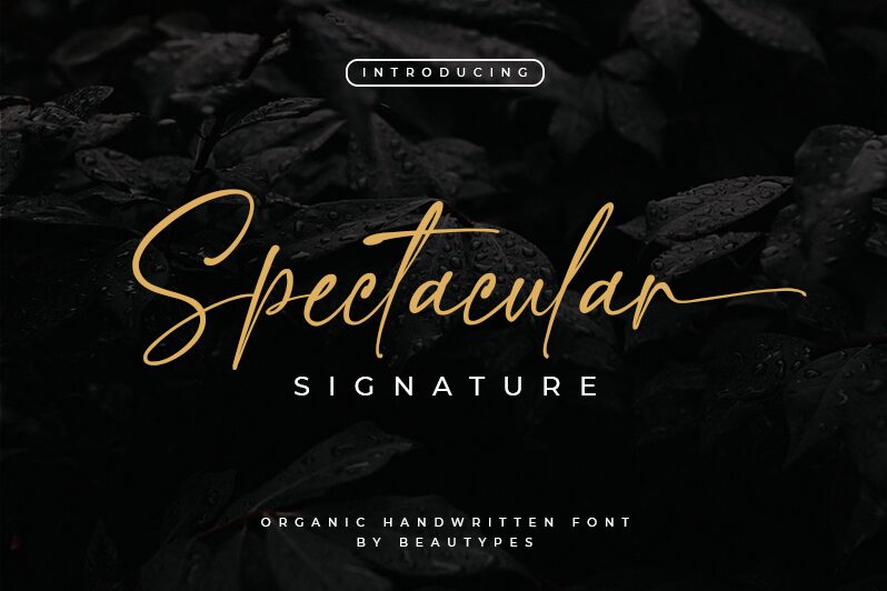 Spectacular Signature Czcionka