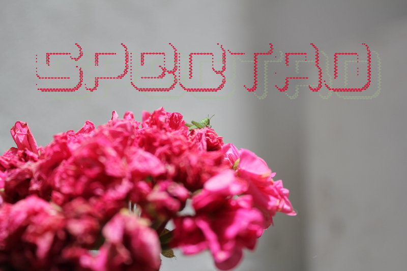 Spectro Schriftart