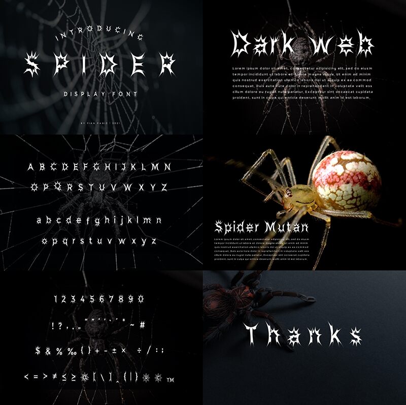 Spider Panic Schriftart