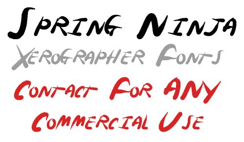 SpringNinja Carattere