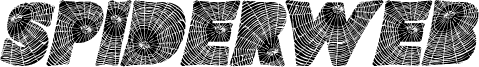 SPIDERWEB ITALIC PERSONAL USE Bold Italicフォントのプレビュー