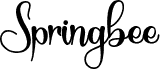 Springbee - Personal Use