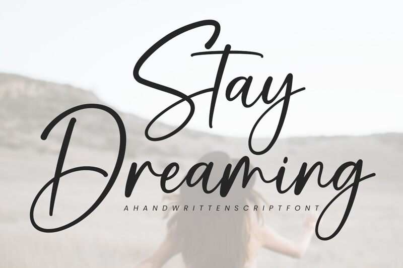 Stay Dreaming Police