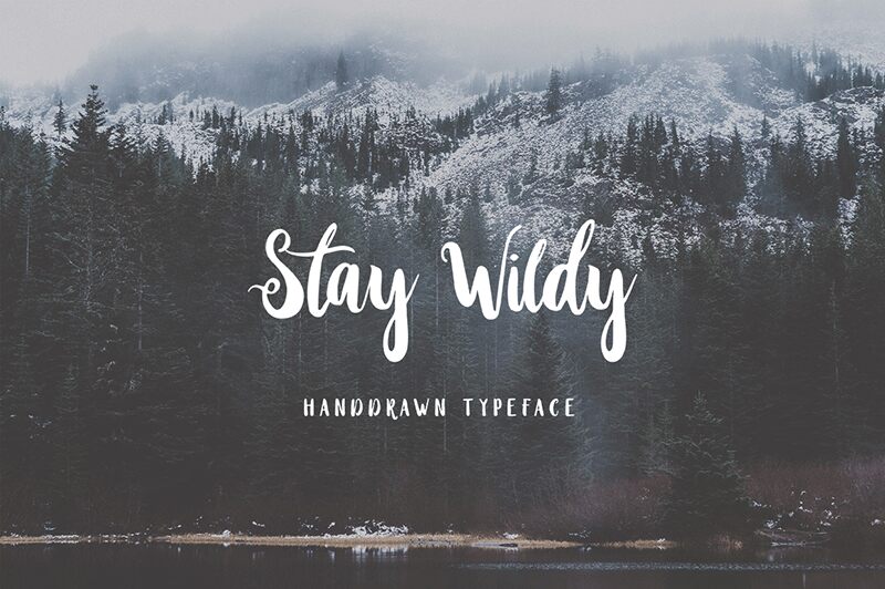 Stay Wildy Czcionka