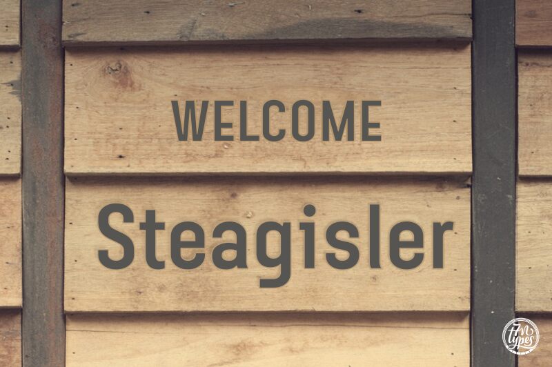 Steagisler الخط 