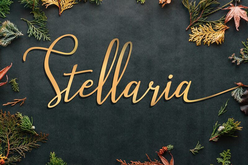Stellaria Schriftart