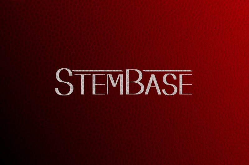 Stembase Czcionka