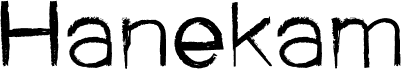 ST Hanekam Brush