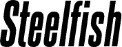 Steelfish Extra Bold Italic