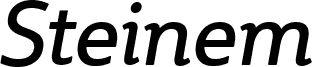 Steinem-Italic