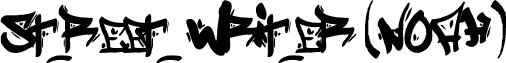 Street Writer (noah)