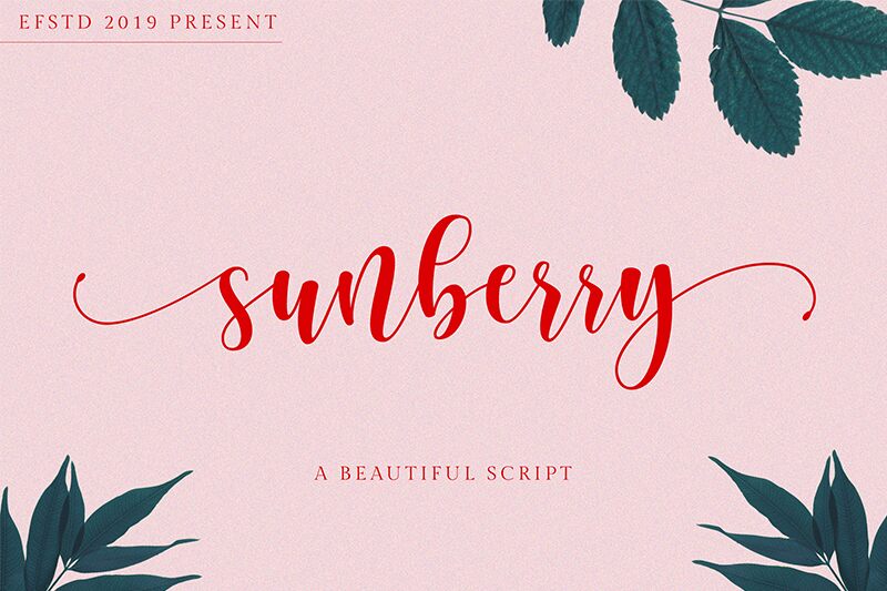 Sunberry الخط 