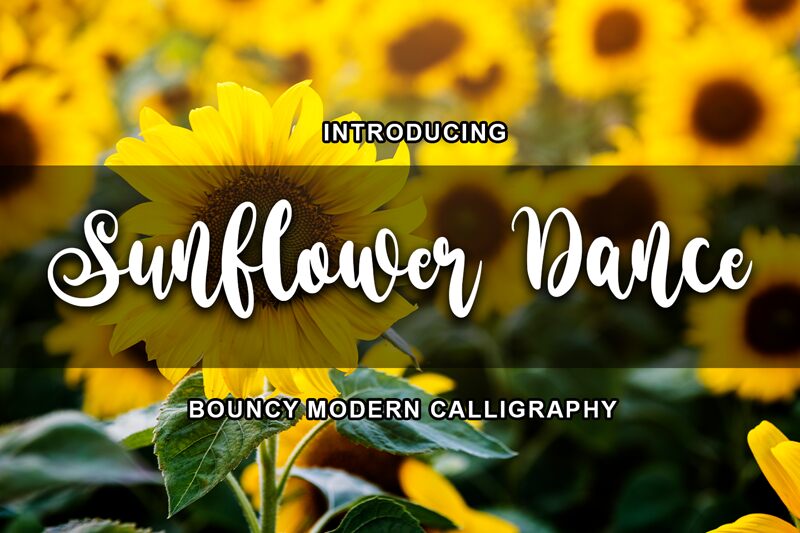 Sunflower Dance Carattere