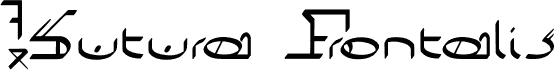 !Sutura Frontalis Bold