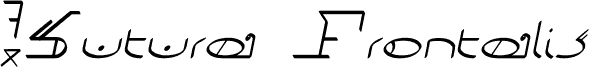 !Sutura Frontalis Italic