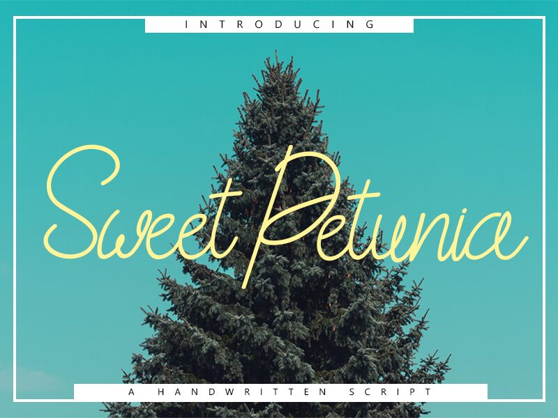 Sweet Petunia Schriftart