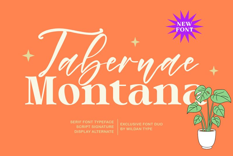 Tabernae Montana Script الخط