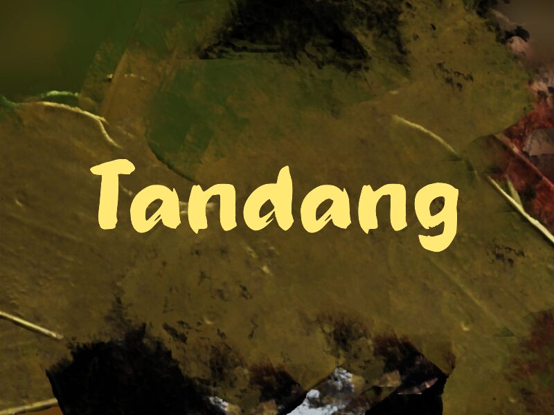 Présentation et spécimen de la police Tandang