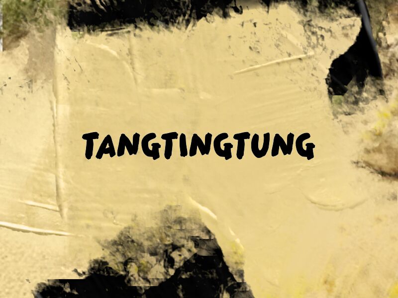 Tangtingtung Carattere