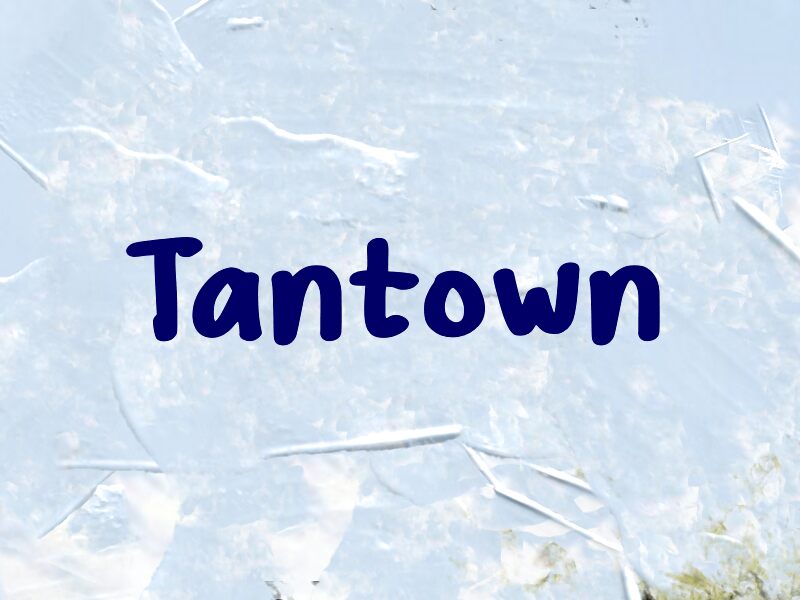 Tantown 字体