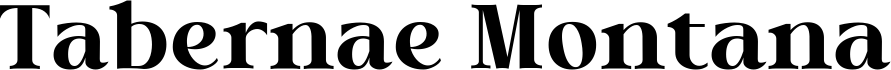 Tabernae Montana Serif