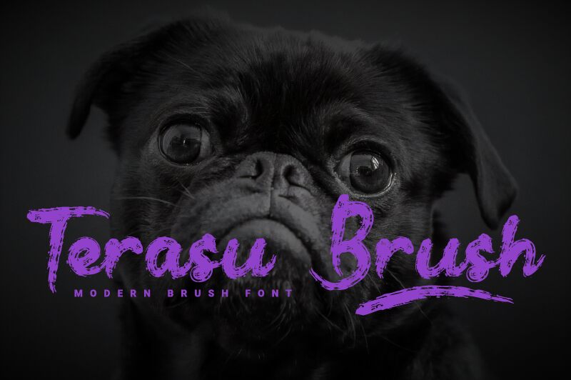 Terasu Brush 字体